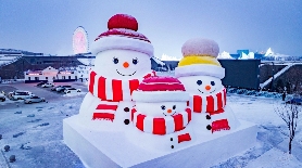 哈尔滨冰雪产业引全球市长关注 - 风彩百游资讯网