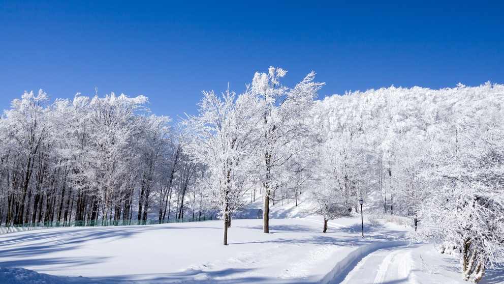 2026哈尔滨国际冰雪经济博览会盛大开幕 - 风彩百游资讯网