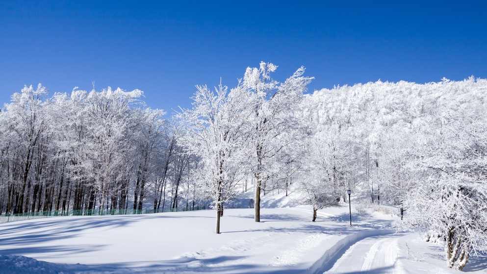 弹性休假如何实现亲子同休？‘雪假’落地需灵活应对 - 风彩百游资讯网