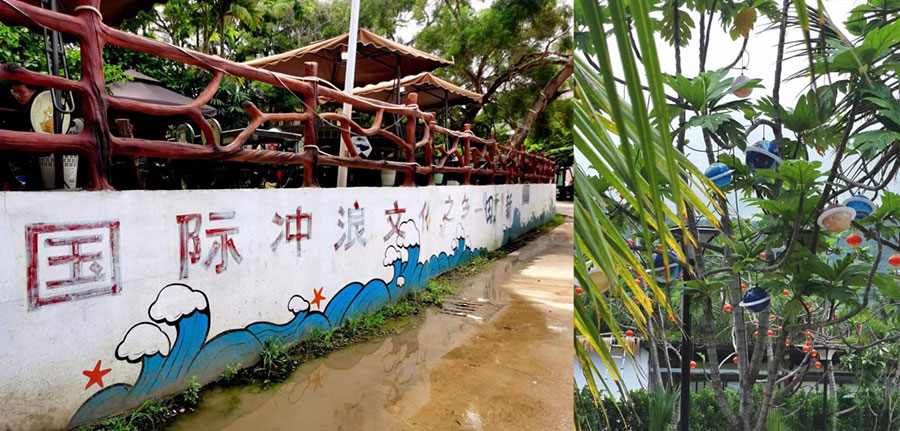 海南乡村振兴特色产业案例解析(图3)