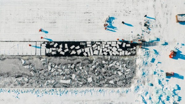 哈尔滨冰雪大世界启动第二十八届存冰开采 - 风彩百游资讯网