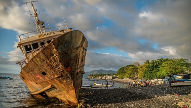 去昂儒昂岛看鱼类“活化石” - 风彩百游资讯网
