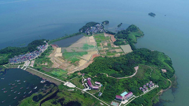 鄱阳湖棠荫岛｜诗意栖居的湖心秘境全攻略 - 风彩百游资讯网