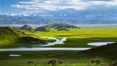 西部旅游成夏日新热点｜全攻略与核心技巧 - 风彩百游资讯网