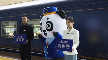 坐着火车游中国体验更丰富｜铁旅融合新趋势全攻略(图1)