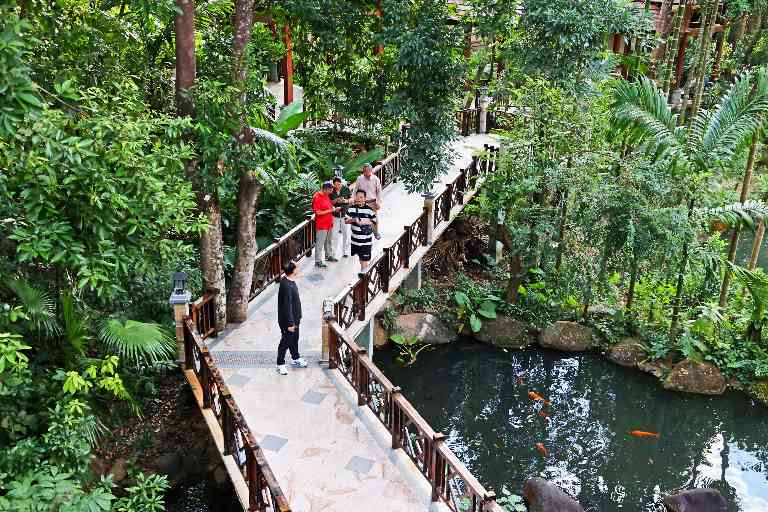 康养旅居如何从候鸟式过冬走向品质生活｜实用指南(图2)