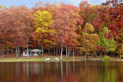 你未曾领略的秋色之美｜自然诗意全攻略(图4)