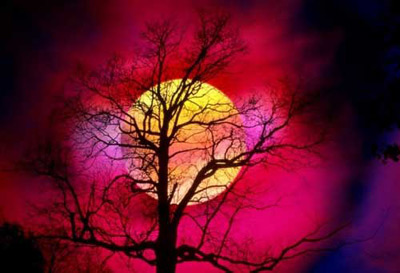 你未曾领略的秋色之美｜自然诗意全攻略 - 风彩百游资讯网