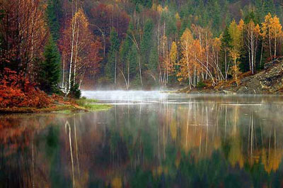 你未曾领略的秋色之美｜自然诗意全攻略(图10)