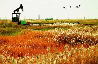 你未曾领略的秋色之美｜自然诗意全攻略(图6)