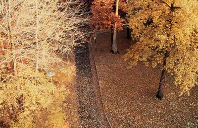 你未曾领略的秋色之美｜自然诗意全攻略(图11)