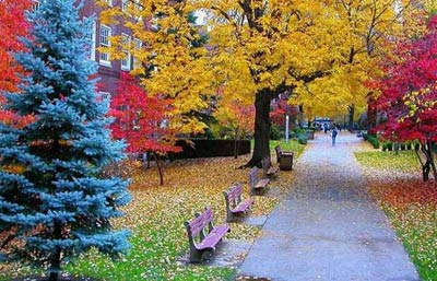 你未曾领略的秋色之美｜自然诗意全攻略(图12)