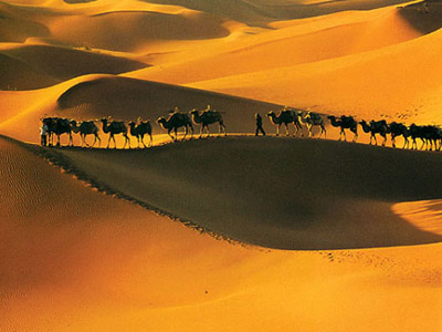 真正中华美景全攻略｜探索自然与人文瑰宝(图6)