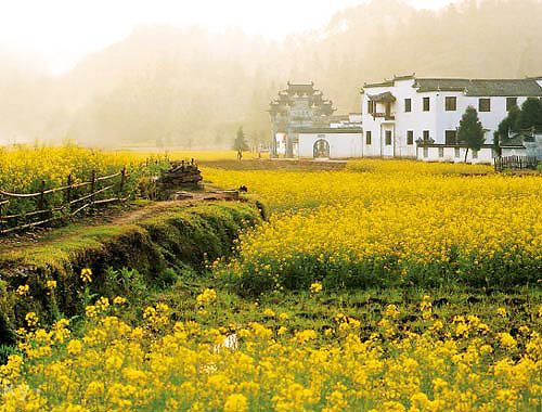 中国公认最美丽地方｜全攻略推荐(图10)