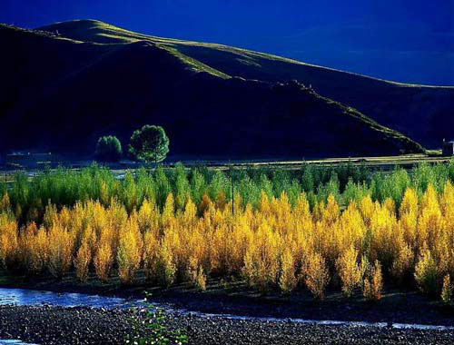 中国公认最美丽地方｜全攻略推荐(图2)