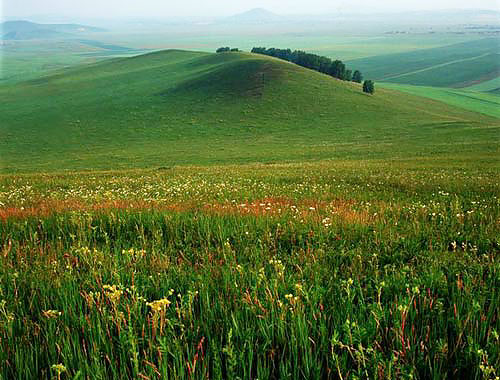 中国公认最美丽地方｜全攻略推荐(图8)