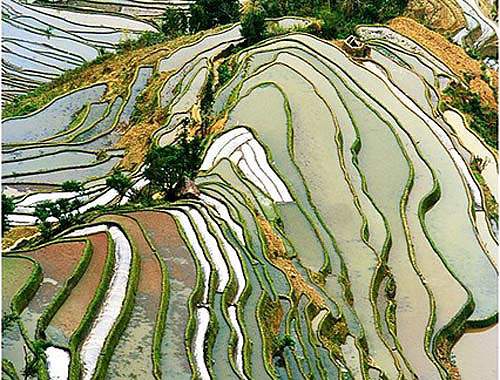 中国公认最美丽地方｜全攻略推荐(图14)