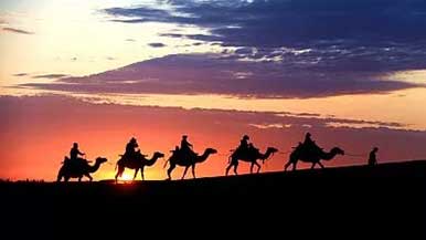 敦煌女儿樊锦诗：守护大漠文明的半生坚守｜文化传承全攻略 - 风彩百游资讯网