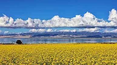 青海湖迎国家公园时代｜创建全攻略 - 风彩百游资讯网