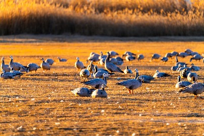让世界看见丽江玉龙｜去丽江数星星全攻略(图4)