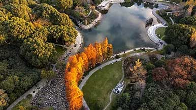 城市公园建设全攻略｜装点美丽宜居生活 - 风彩百游资讯网