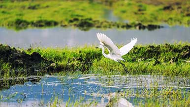 生态文明建设向纵深推进｜实践路径全攻略 - 风彩百游资讯网