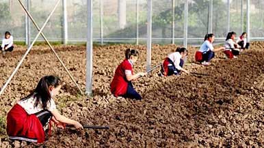 创新研学旅游 让孩子“劳动并快乐着” - 风彩百游资讯网