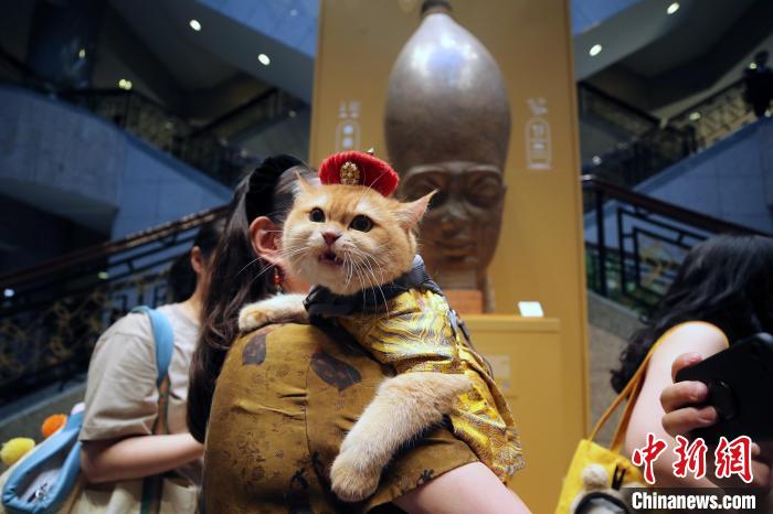 博物馆夏令时全攻略｜延时开放夜游展陈创新(图1)