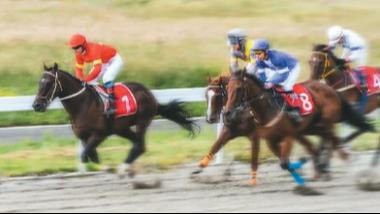 为一场赛事赴一座城｜暑期体育旅游全攻略