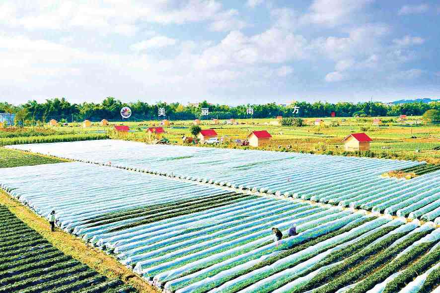广西南宁美丽南方乡村旅游全攻略(图1)