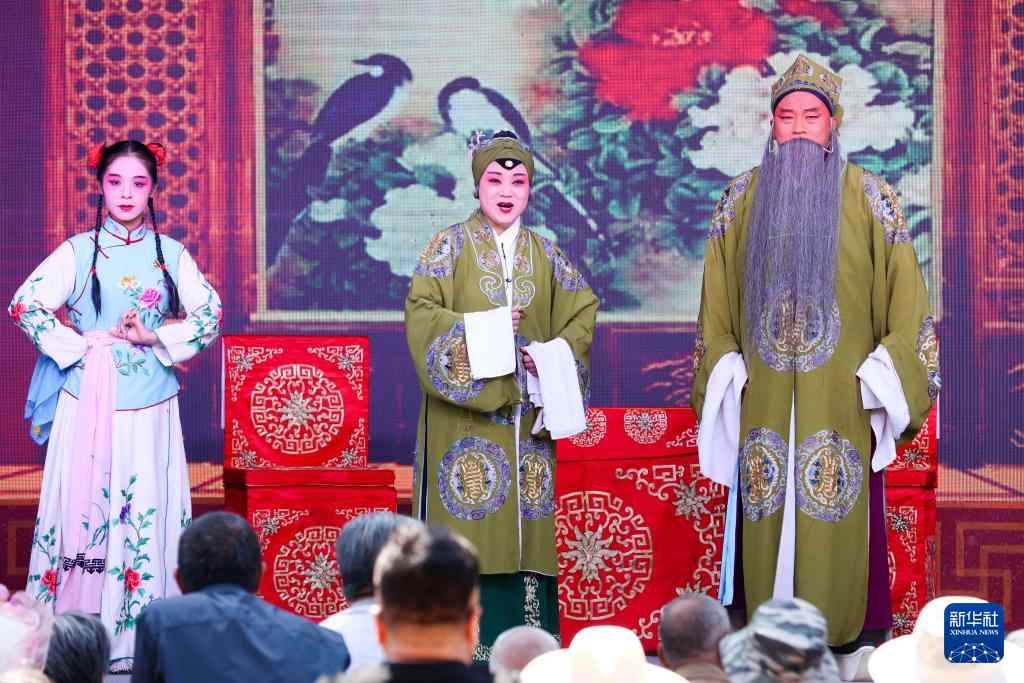 石家庄晋州送戏下乡 文化润民心活动(图2)