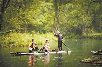 带宠旅行全攻略：过三道关轻松出行(图2)