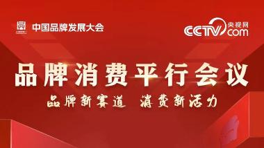 2024年中国品牌发展大会品牌消费平行会