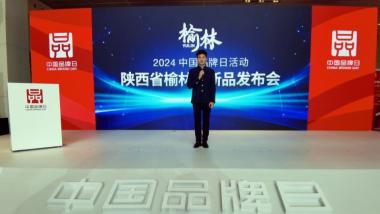 多项成果世界领先！榆林在中国品牌日活动发